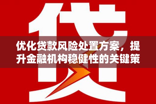 昌都优化贷款风险处置方案，提升金融机构稳健性的关键策略