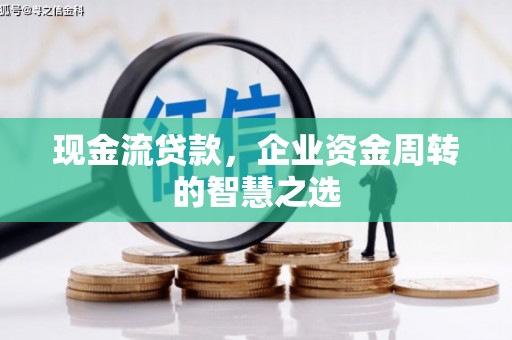 昌都现金流贷款，企业资金周转的智慧之选