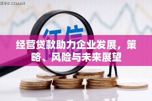 昌都经营贷款助力企业发展，策略、风险与未来展望