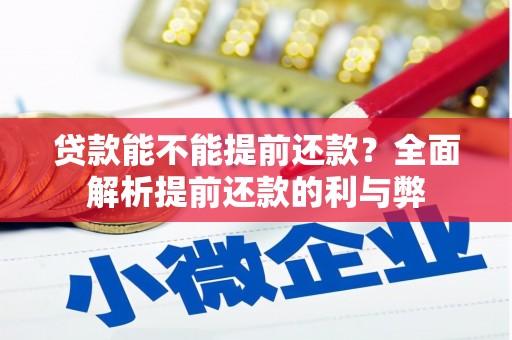 昌都贷款能不能提前还款？全面解析提前还款的利与弊