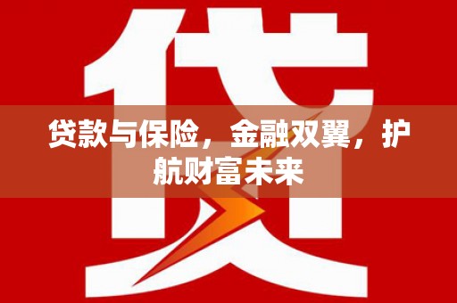 昌都贷款与保险，金融双翼，护航财富未来