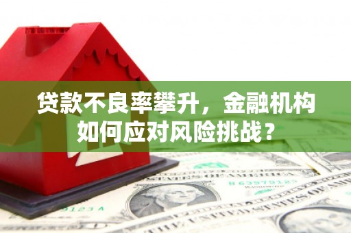 昌都贷款不良率攀升，金融机构如何应对风险挑战？