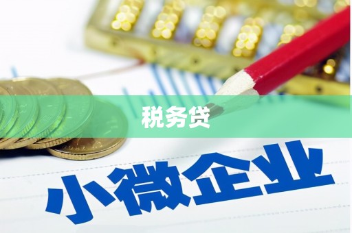 昌都税务贷