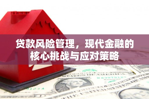 昌都贷款风险管理，现代金融的核心挑战与应对策略