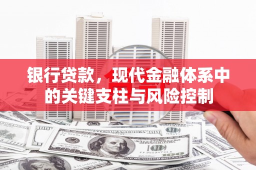 昌都银行贷款，现代金融体系中的关键支柱与风险控制