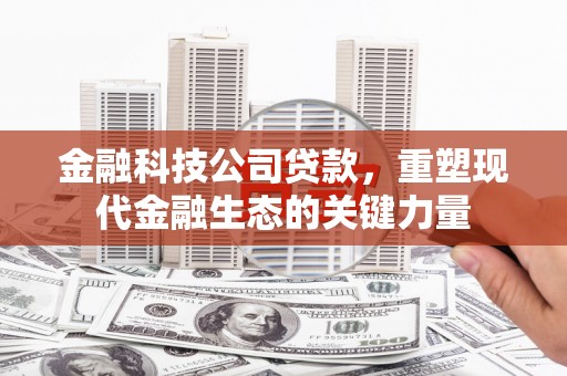 昌都金融科技公司贷款，重塑现代金融生态的关键力量