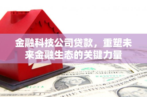 昌都金融科技公司贷款，重塑未来金融生态的关键力量