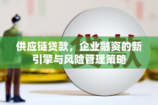 昌都供应链贷款，企业融资的新引擎与风险管理策略