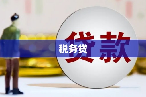 昌都税务贷