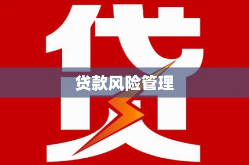 昌都贷款风险管理