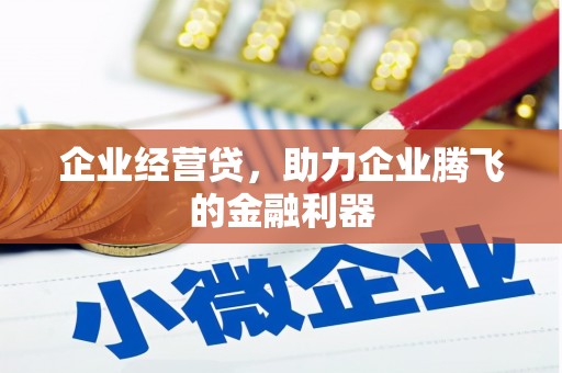 昌都企业经营贷，助力企业腾飞的金融利器