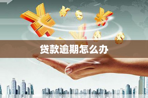 昌都贷款逾期怎么办
