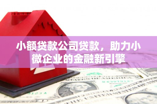 昌都小额贷款公司贷款，助力小微企业的金融新引擎