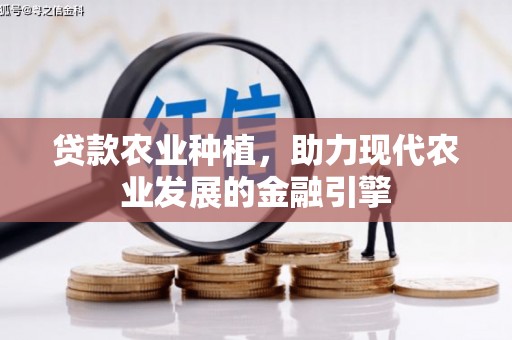 昌都贷款农业种植，助力现代农业发展的金融引擎