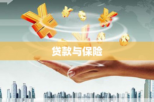 昌都贷款与保险