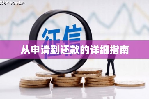 昌都从申请到还款的详细指南