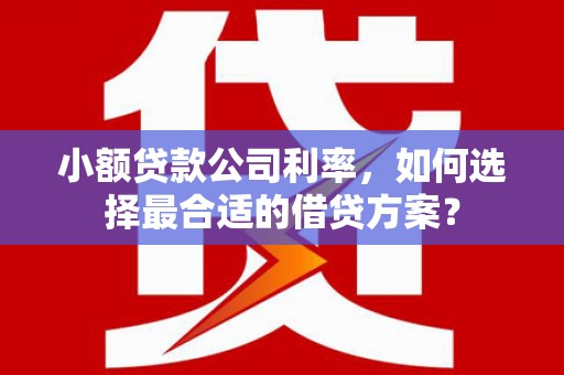 昌都小额贷款公司利率，如何选择最合适的借贷方案？
