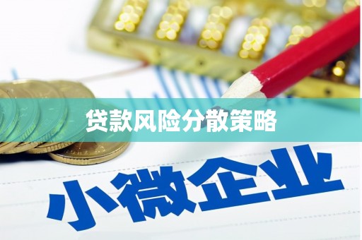昌都贷款风险分散策略