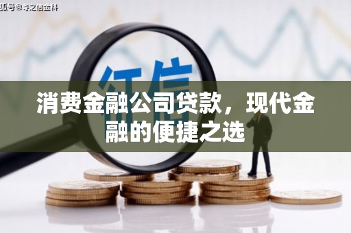 昌都消费金融公司贷款，现代金融的便捷之选
