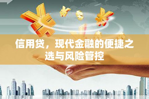 昌都信用贷，现代金融的便捷之选与风险管控