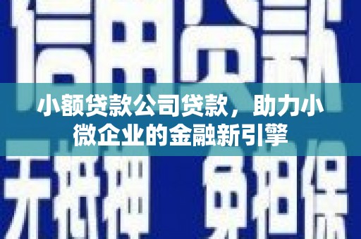 昌都小额贷款公司贷款，助力小微企业的金融新引擎