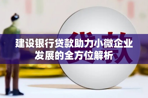 昌都建设银行贷款助力小微企业发展的全方位解析