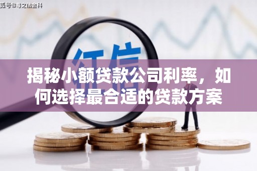 昌都揭秘小额贷款公司利率，如何选择最合适的贷款方案