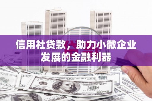 昌都信用社贷款，助力小微企业发展的金融利器