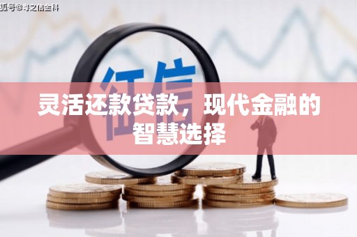 昌都灵活还款贷款，现代金融的智慧选择