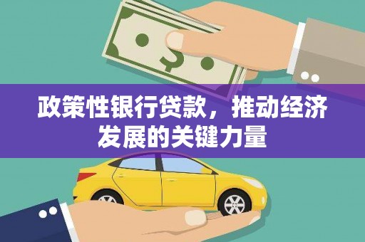 昌都政策性银行贷款，推动经济发展的关键力量