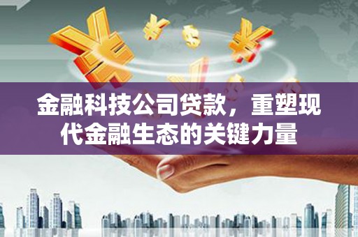 昌都金融科技公司贷款，重塑现代金融生态的关键力量