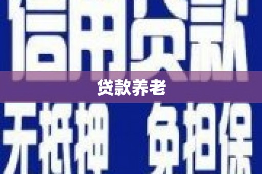 昌都贷款养老