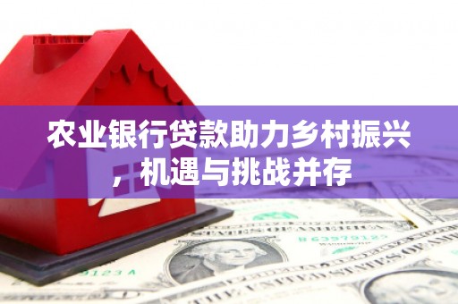 昌都农业银行贷款助力乡村振兴，机遇与挑战并存