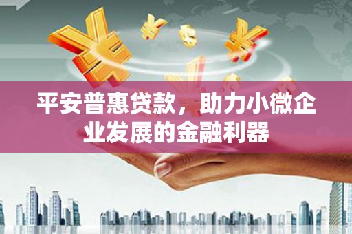 昌都平安普惠贷款，助力小微企业发展的金融利器