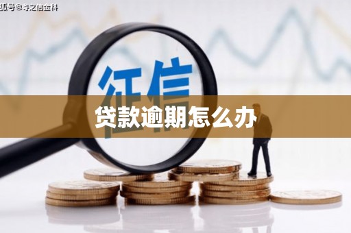 昌都贷款逾期怎么办