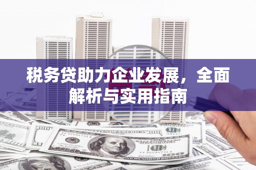 昌都税务贷助力企业发展，全面解析与实用指南