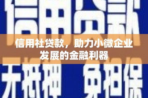 昌都信用社贷款，助力小微企业发展的金融利器