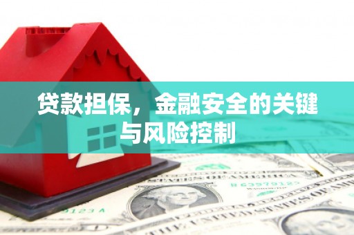 昌都贷款担保，金融安全的关键与风险控制