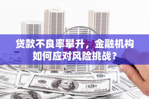 昌都贷款不良率攀升，金融机构如何应对风险挑战？