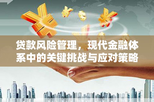 昌都贷款风险管理，现代金融体系中的关键挑战与应对策略