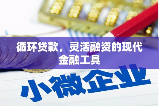昌都循环贷款，灵活融资的现代金融工具