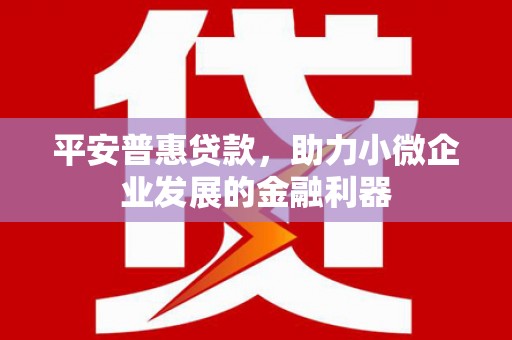 昌都平安普惠贷款，助力小微企业发展的金融利器