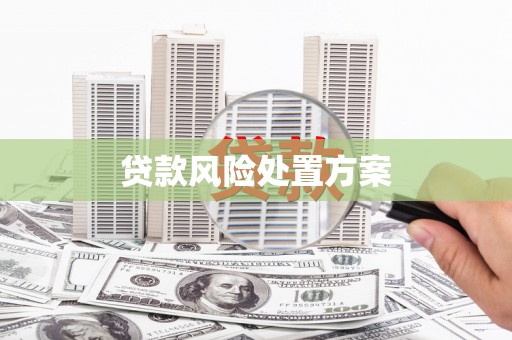 昌都贷款风险处置方案