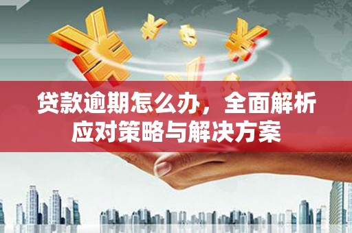 昌都贷款逾期怎么办，全面解析应对策略与解决方案