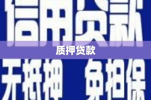 昌都质押贷款