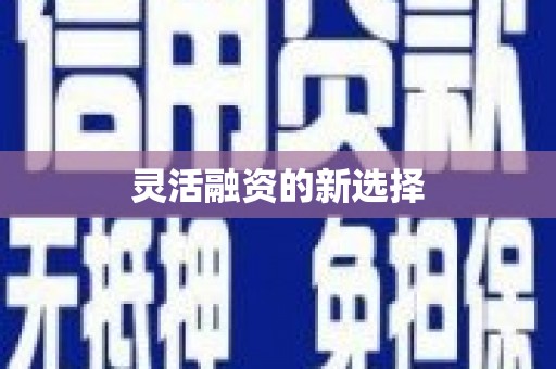 昌都灵活融资的新选择