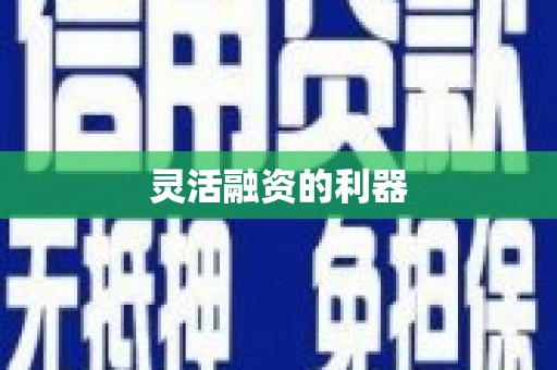 昌都灵活融资的利器