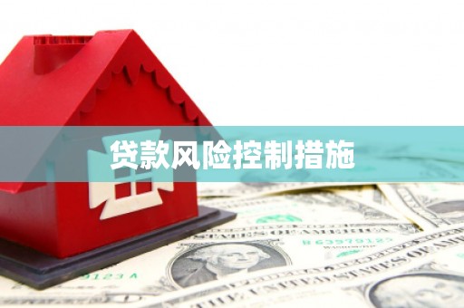 昌都贷款风险控制措施