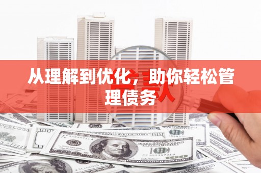 昌都从理解到优化，助你轻松管理债务