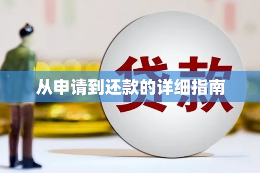 昌都从申请到还款的详细指南